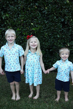Load image into Gallery viewer, Children's dress in pelican print. Baby blue with cute pelicans.
